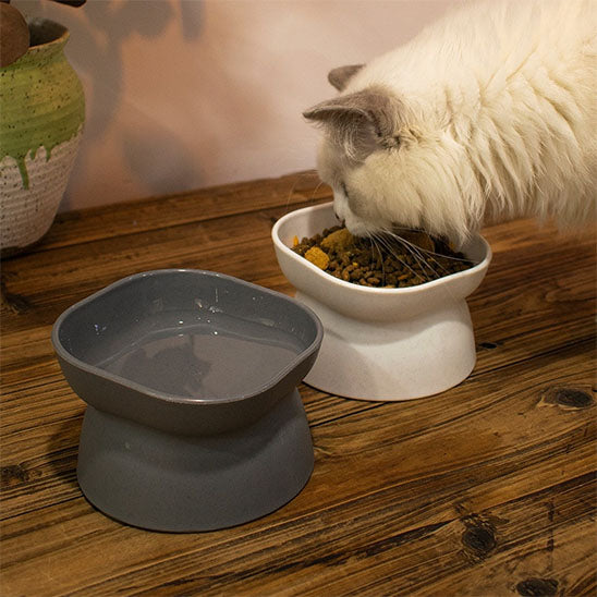 gamelle pour chat biobol, bols carres arrondis en ceramique, base ferme stable, facile a nettoyer.