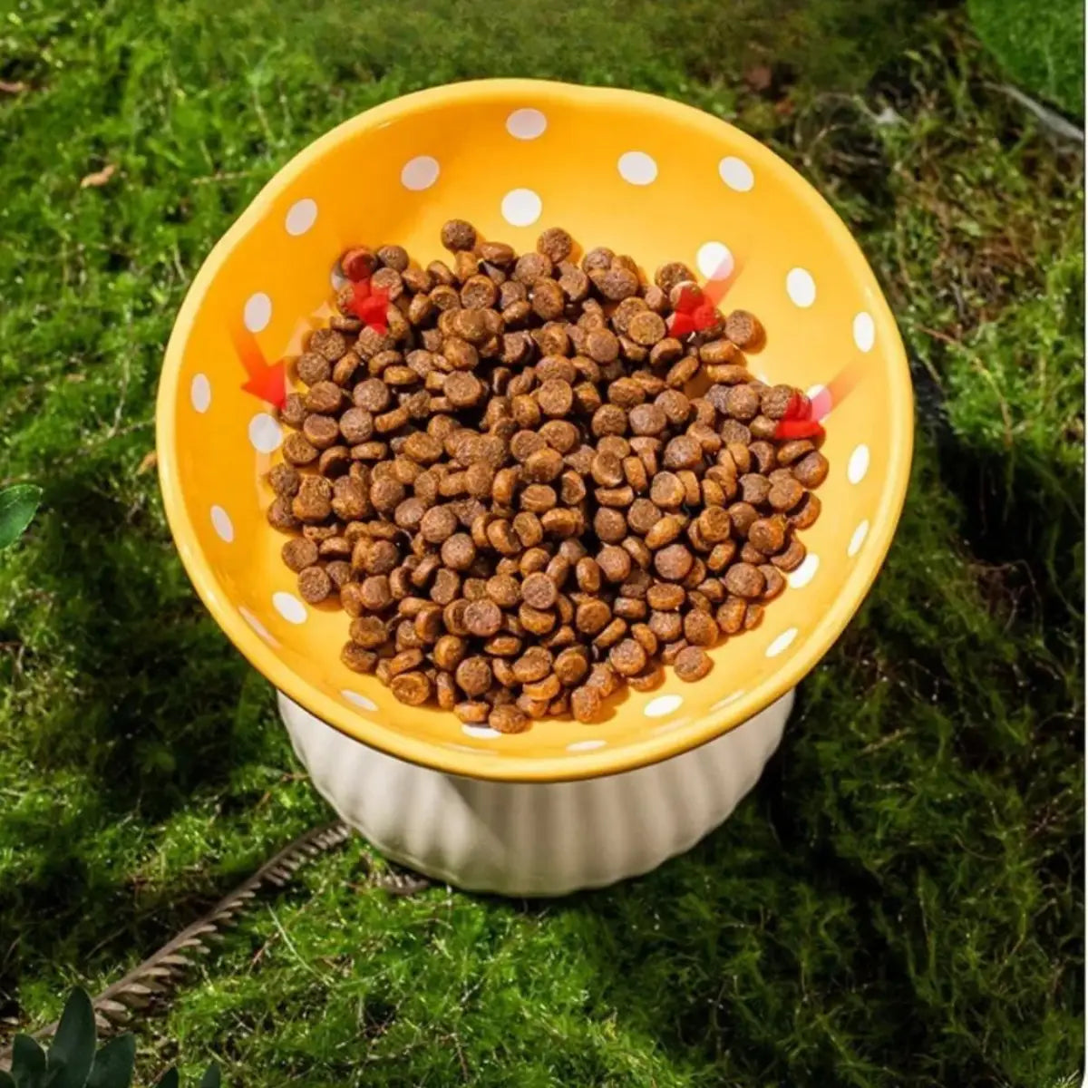 Gamelle pour chat champignon jaune à pois remplie de croquettes montrant capacité 200 ml vue du dessus