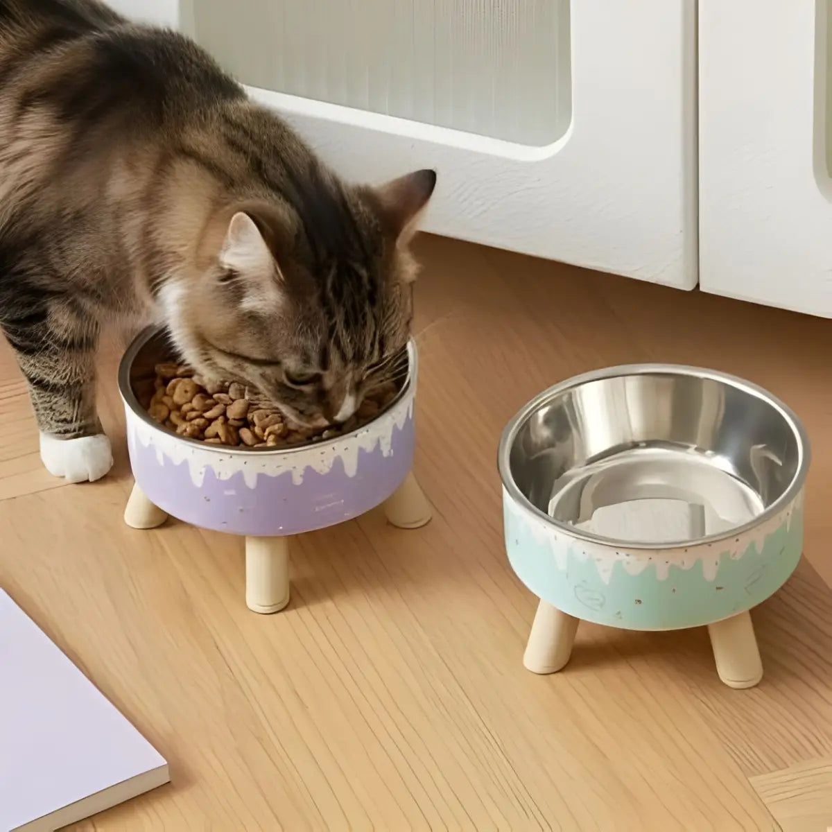 Gamelle Pour Chat en acier inoxydable avec support en bois, design élégant et pratique.