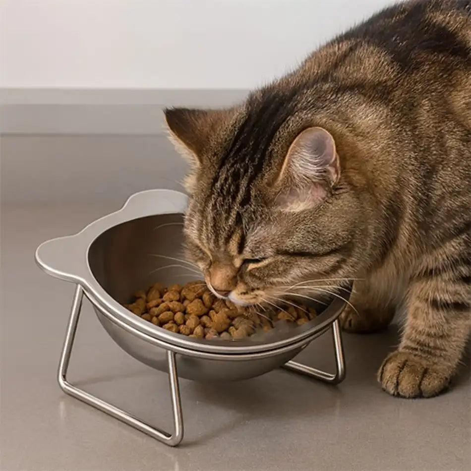 Gamelle pour chat en inox surélevée, meilleure posture et moins de renversements pendant le repas