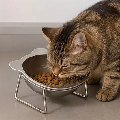 Gamelle pour chat en inox surélevée, meilleure posture et moins de renversements pendant le repas