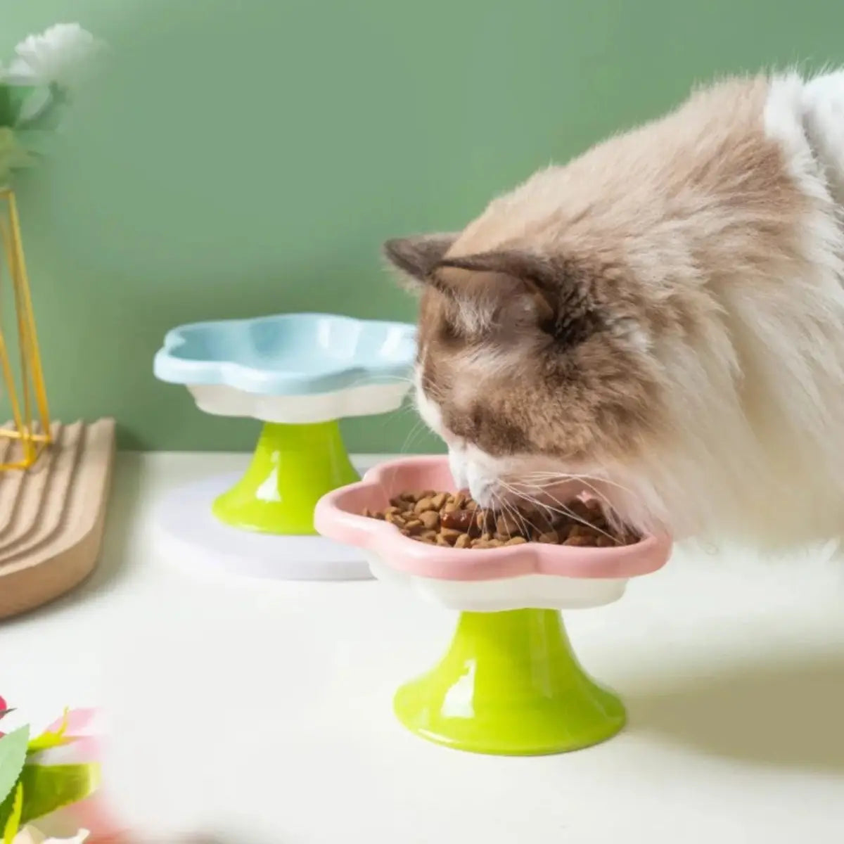 gamelle pour chat PetalBowl sur elevee rose, base verte, chat degustant des croquettes.