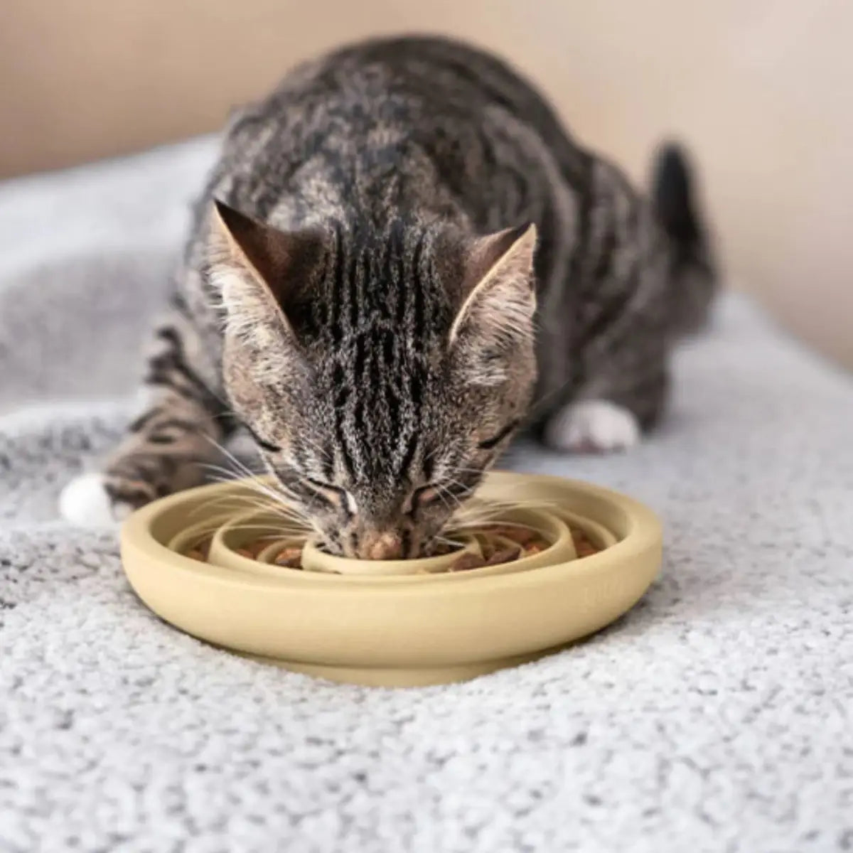 Gamelle Pour Chat Spiralia™ en spirale pour ralentir l'alimentation de votre animal.