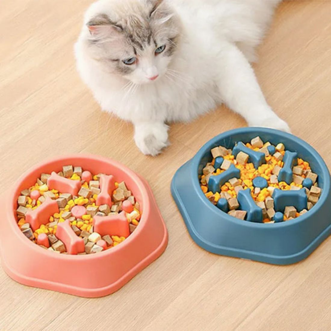 chat blanc allongé à côté de deux gamelles pour chat anti glouton remplies de croquettes colorées