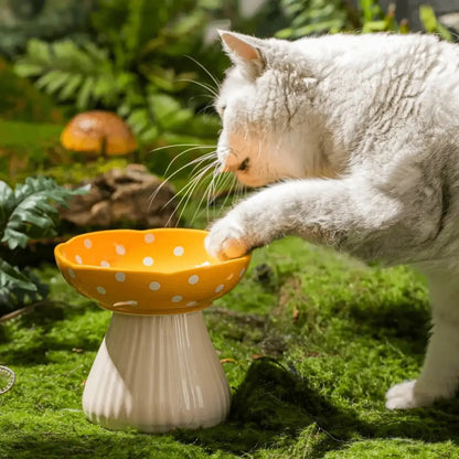 Chat blanc British Shorthair mangeant confortablement dans gamelle pour chat surélevée champignon jaune à pois