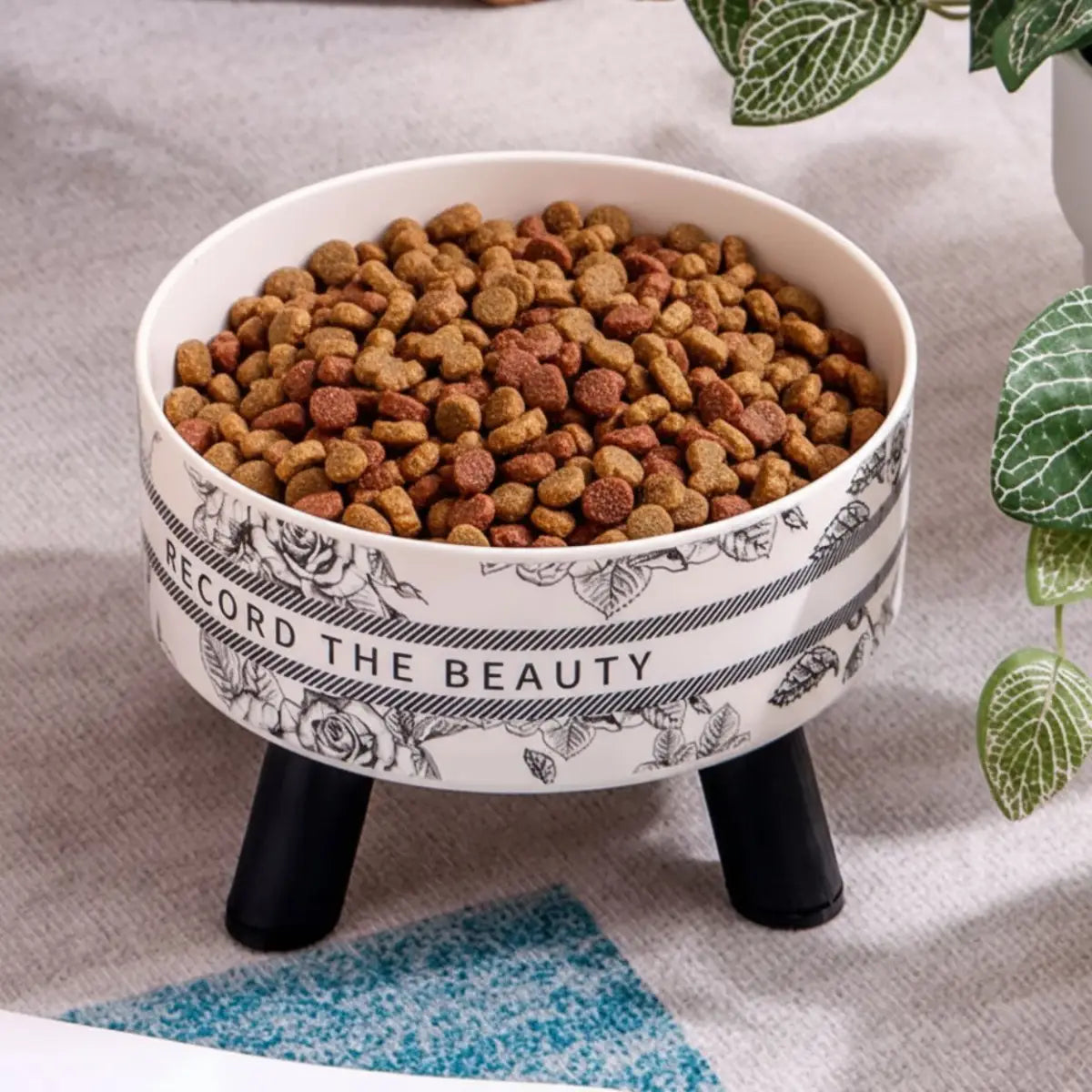 gamelle pour chat WhiskerZen avec bol inox amovible, nettoyage facile et socle stable.