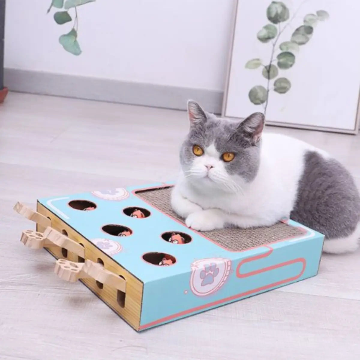Griffoir chat ludique en carton avec zones de jeu et surface pour griffer.