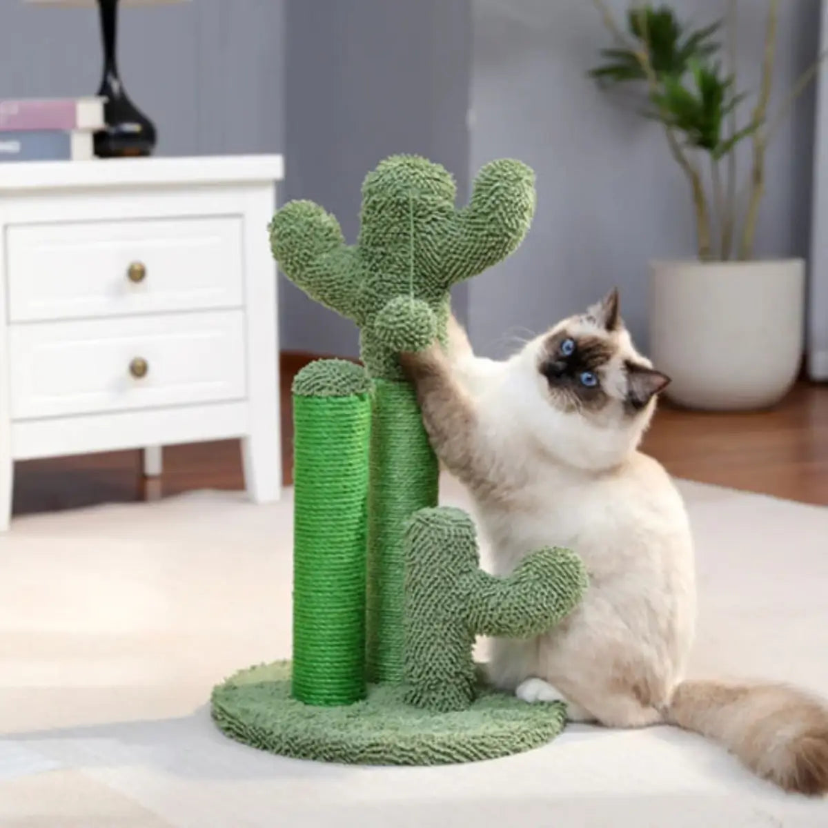 Griffoir chat en forme de cactus, idéal pour aiguiser les griffes et décorer votre intérieur. - ambiance cosy