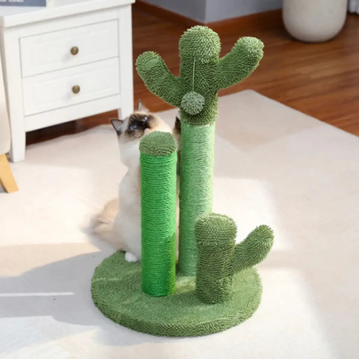 Griffoir chat en forme de cactus, parfait pour l'amusement et l'entretien des griffes.