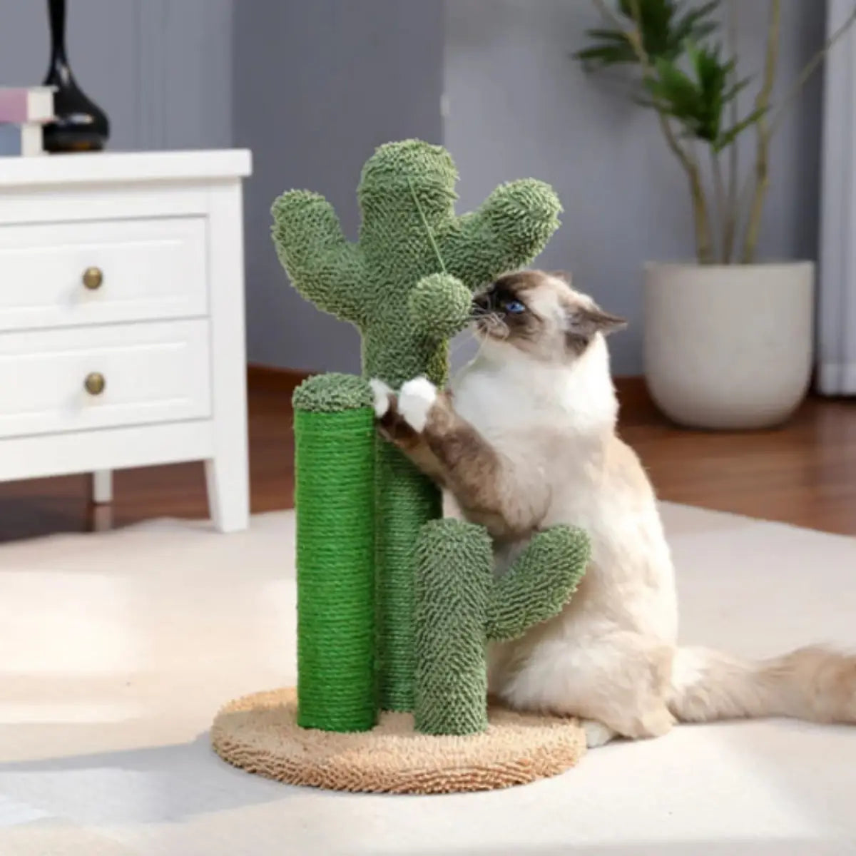 Griffoir chat en forme de cactus, idéal pour le jeu et les griffes. - vue de dessus