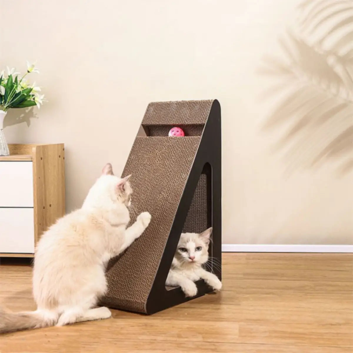 griffoir chat carton design moderne pour chats avec espace de jeu intégré - fond neutre