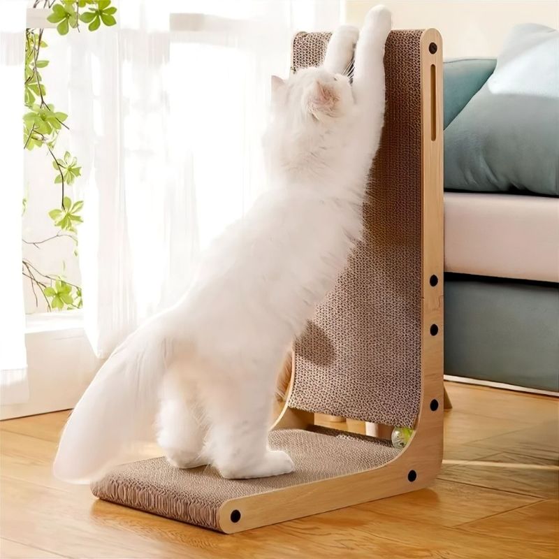 griffoir chat chat blanc