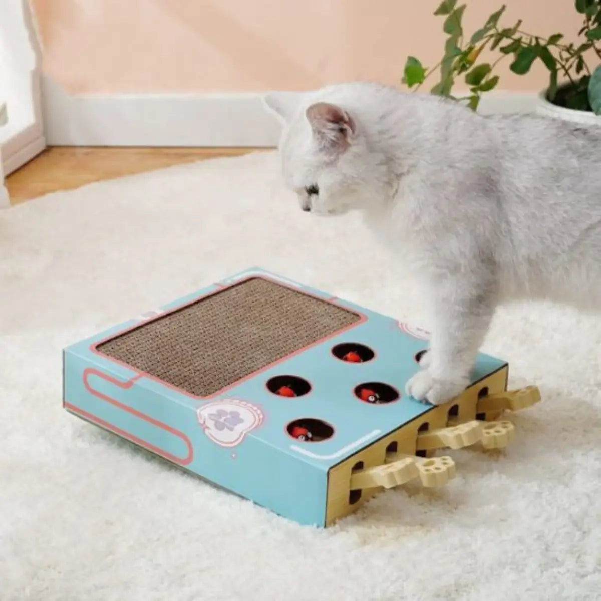 Griffoir chat avec design ludique et interactif pour stimuler votre animal.