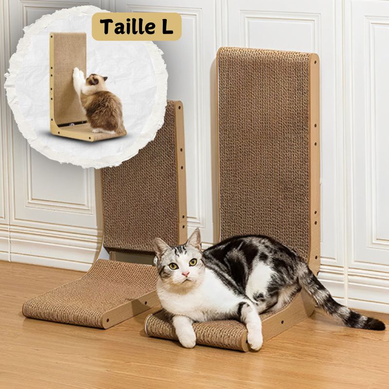 griffoir chat taille l