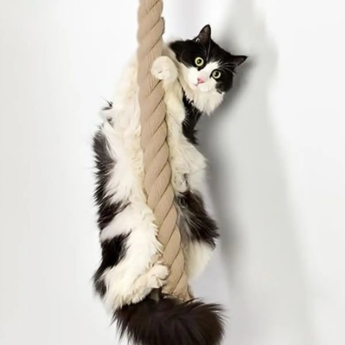 Griffoir vertical mural en corde robuste pour chat, parfait pour l'escalade et les griffades.