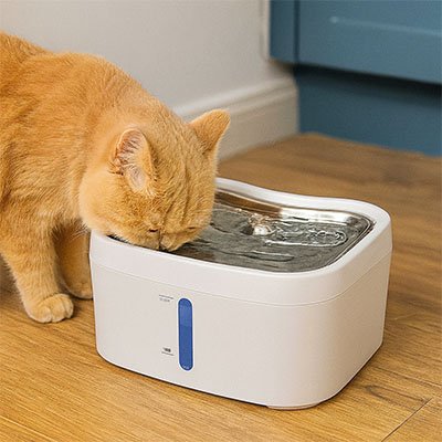 Interface de l'application mobile affichant les données de consommation d'eau envoyées par le distributeur d'eau intelligent pour chat.