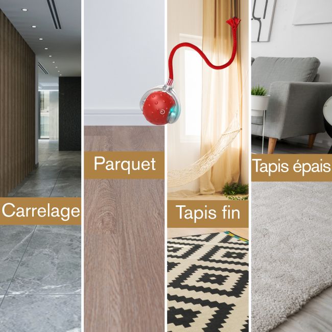 Jouet pour chat utilisable sur carrelage, parquet, tapis fin et épais