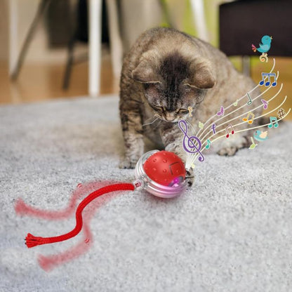 Jouet pour chat qui émet des sons d’oiseaux et stimule les instincts de chasse
