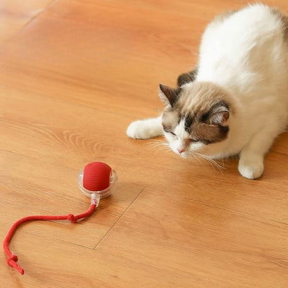 Jouet pour chat chaseball avec un chat blanc jouant avec