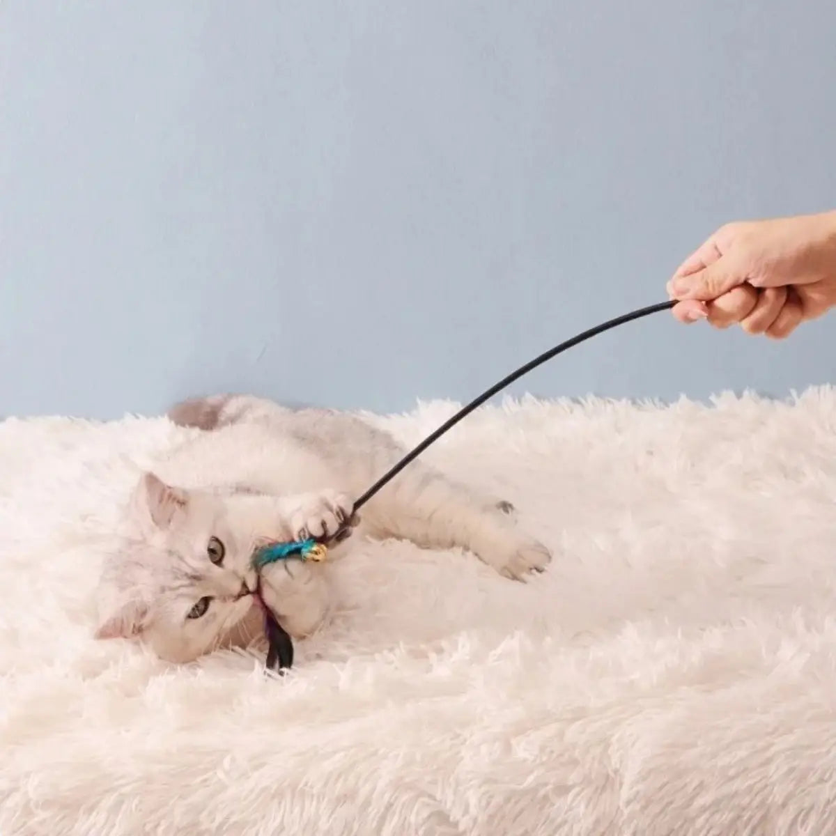 Jouet pour chat Baguette Féline™ pour divertir et stimuler votre félin.