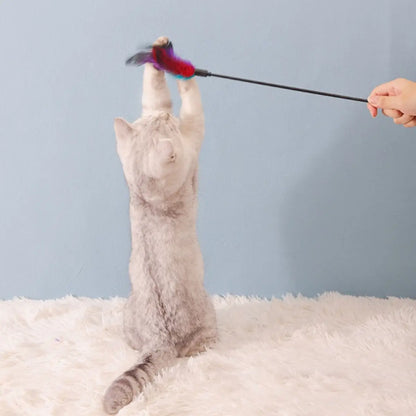 jouet pour chat interactif Baguette Féline™ avec plume colorée et manche noir - ambiance cosy