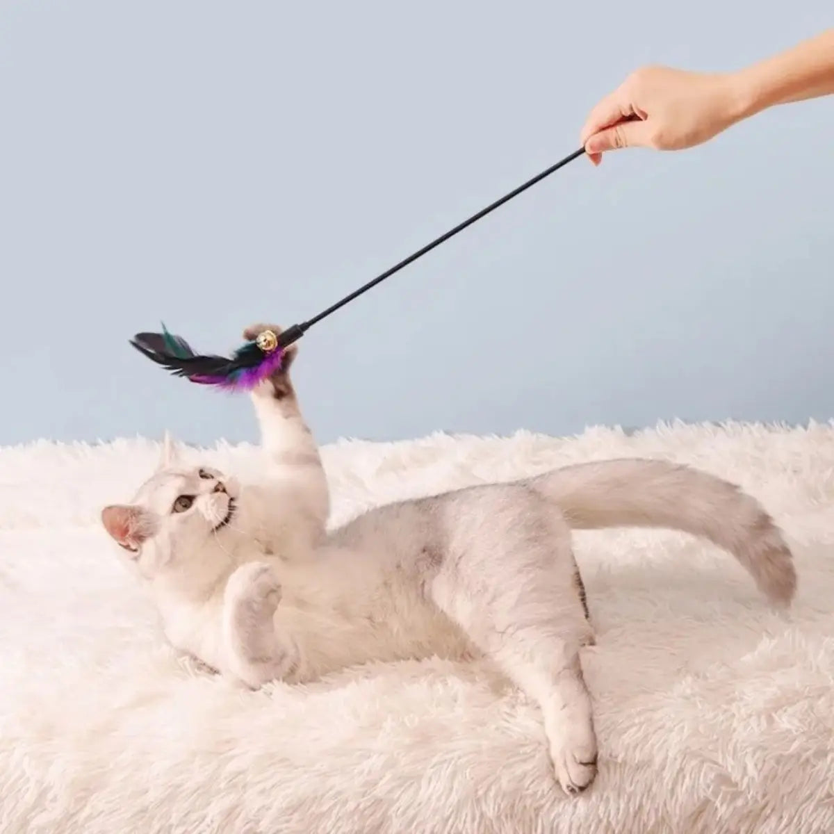 Jouet pour chat interactif Baguette Féline avec plumes colorées pour divertir votre animal.