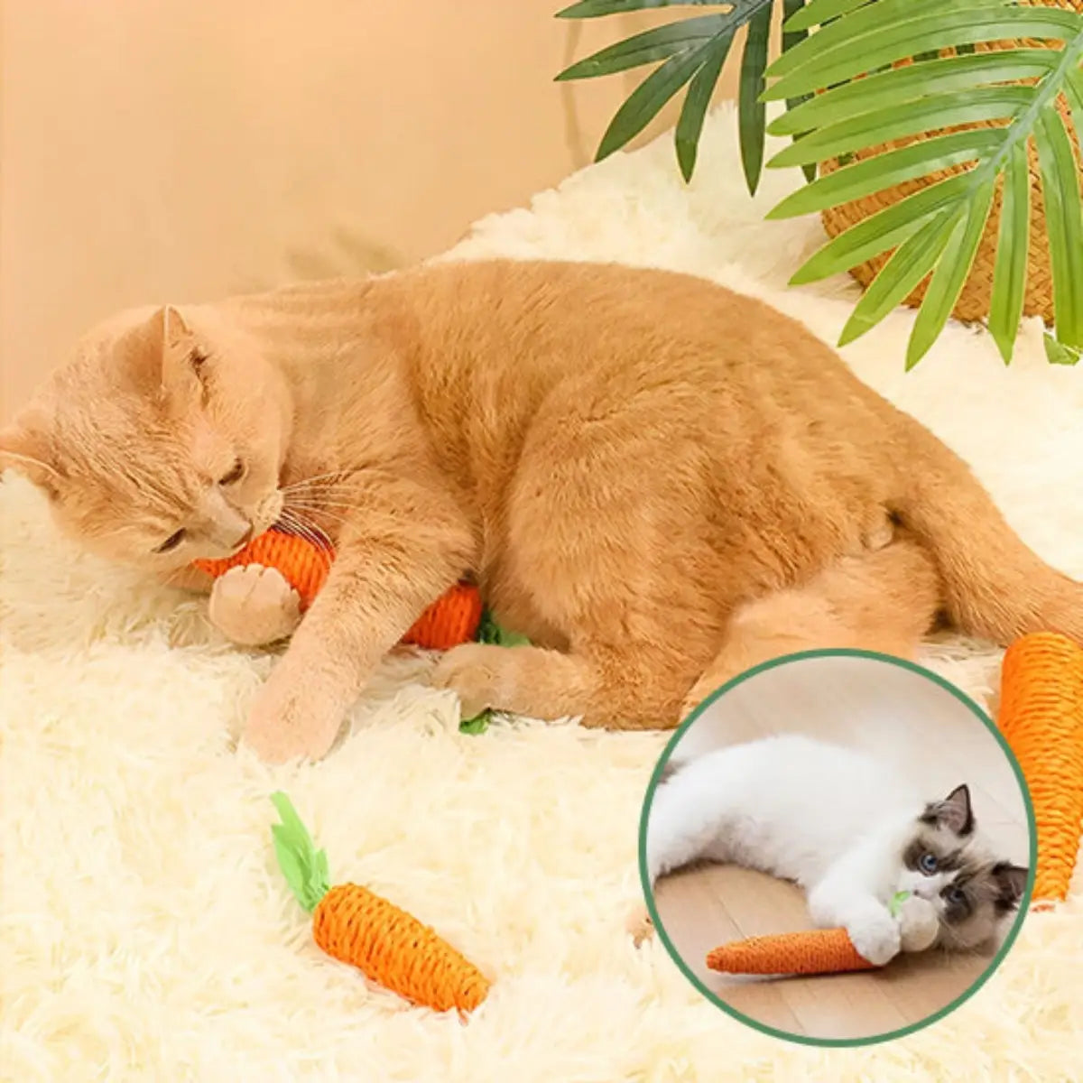 jouet pour chat en forme de carotte, idéal pour griffer et jouer