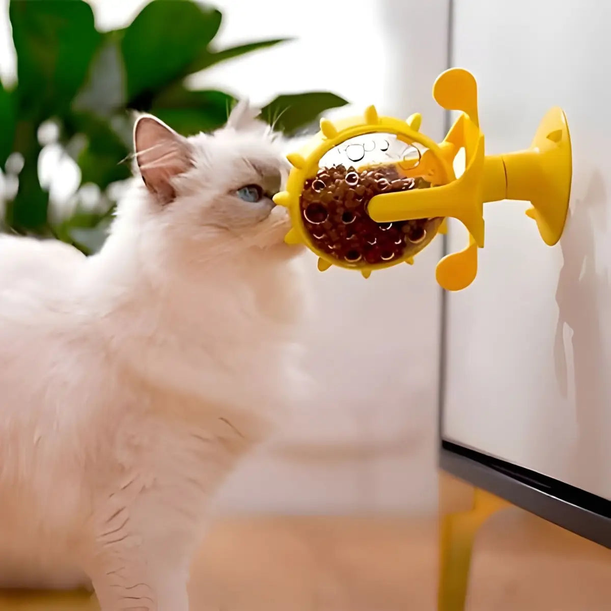 Jouet pour chat interactif jaune fixé sur une surface avec un chat blanc qui joue