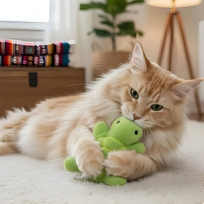 Jouet pour chat en peluche verte en forme de tortue, parfait pour divertir votre animal.