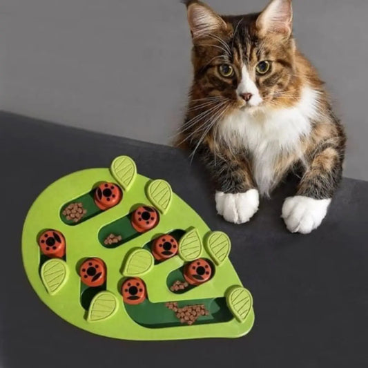 Jouet pour chat interactif avec plateau vert et friandises. - vue de dessus