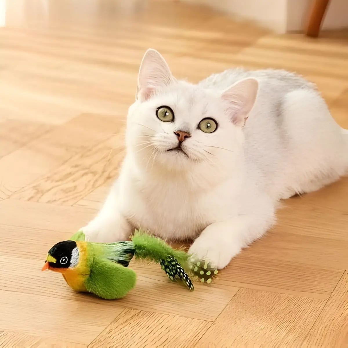 jouet pour chat Plum’Chic™ en forme d'oiseau, idéal pour divertir votre félin