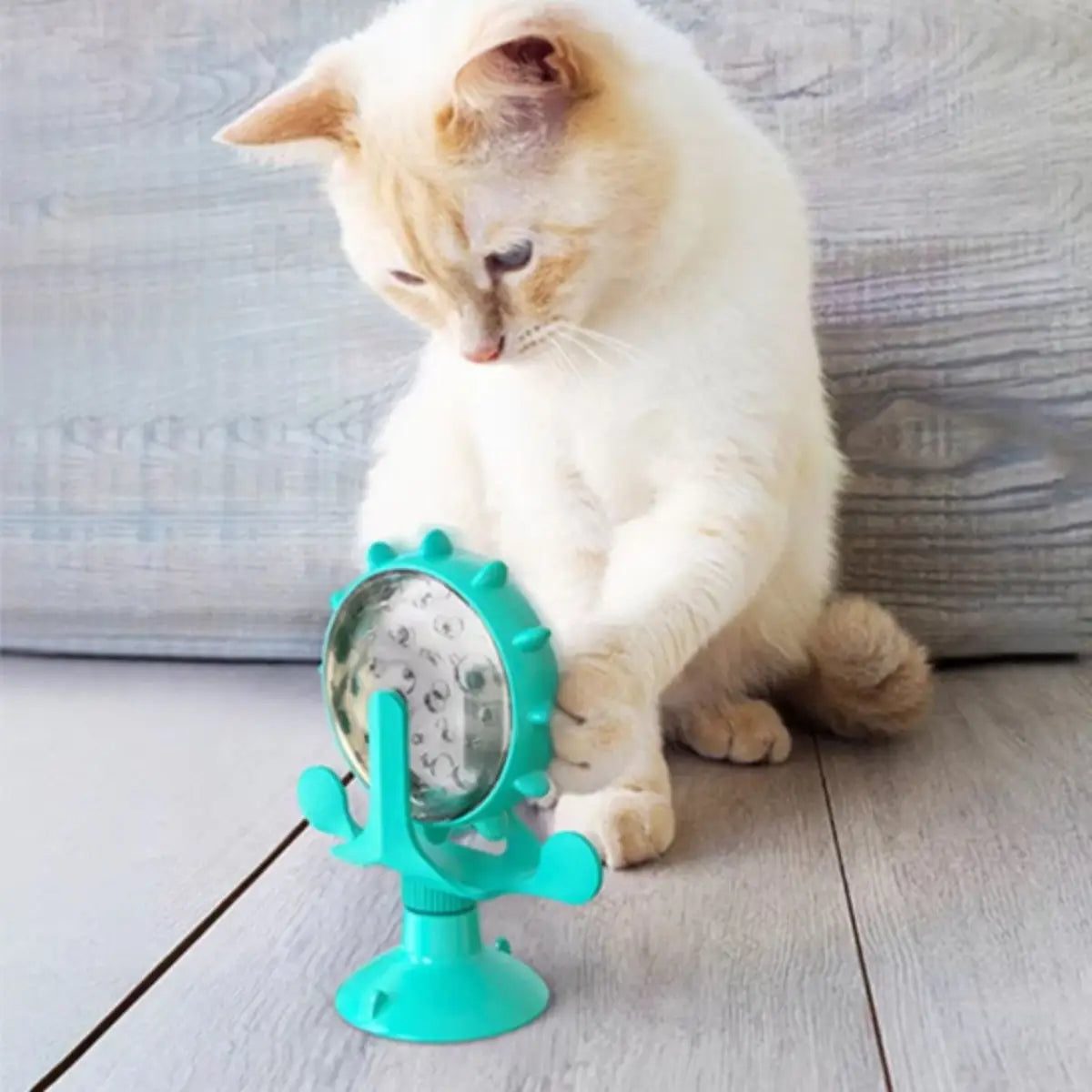 Jouet pour chat interactif, roue tournante verte avec ventouse, idéal pour amuser votre chat.