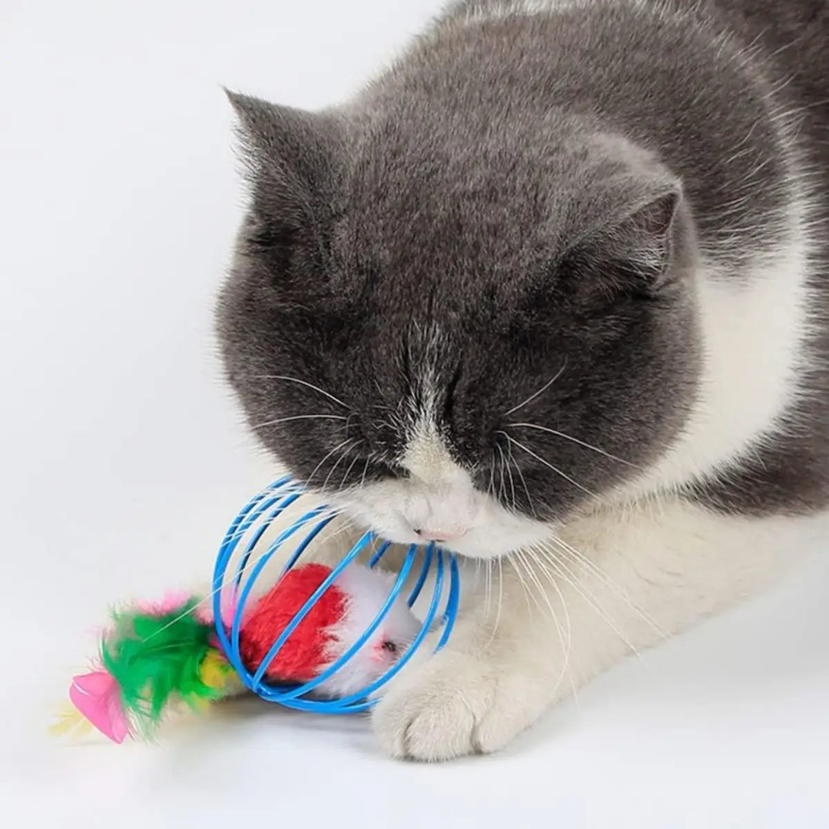 jouet pour chat avec souris en cage ludique, idéal pour divertir votre animal.