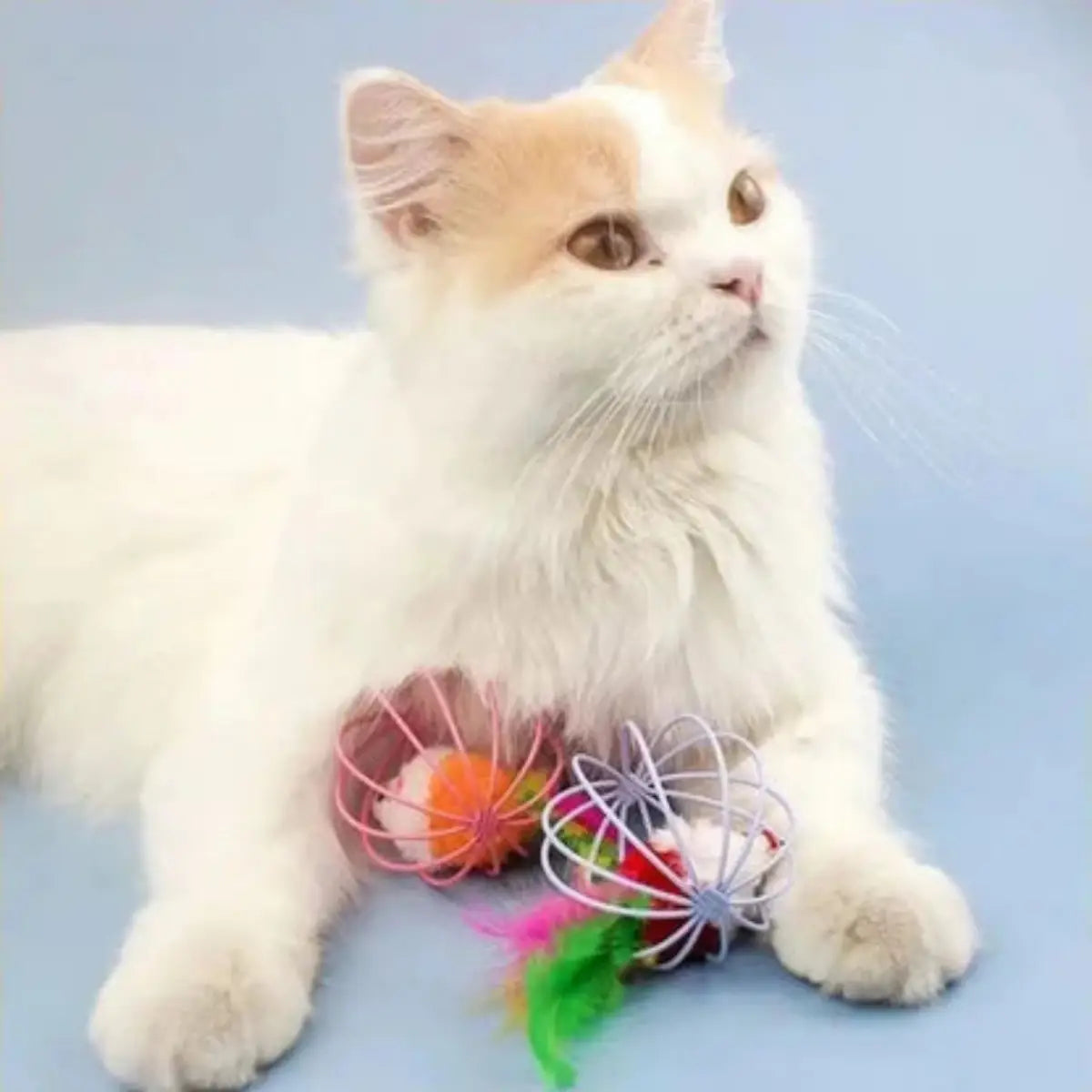 jouet pour chat avec souris en cage colorée et plumes pour divertir votre animal