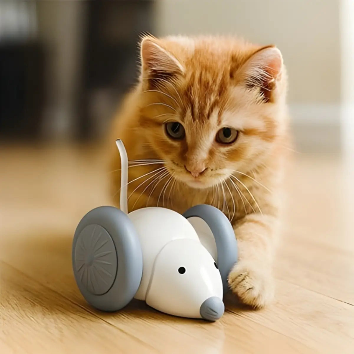 Jouet pour chat en forme de souris interactive avec un chaton roux curieux. - fond neutre