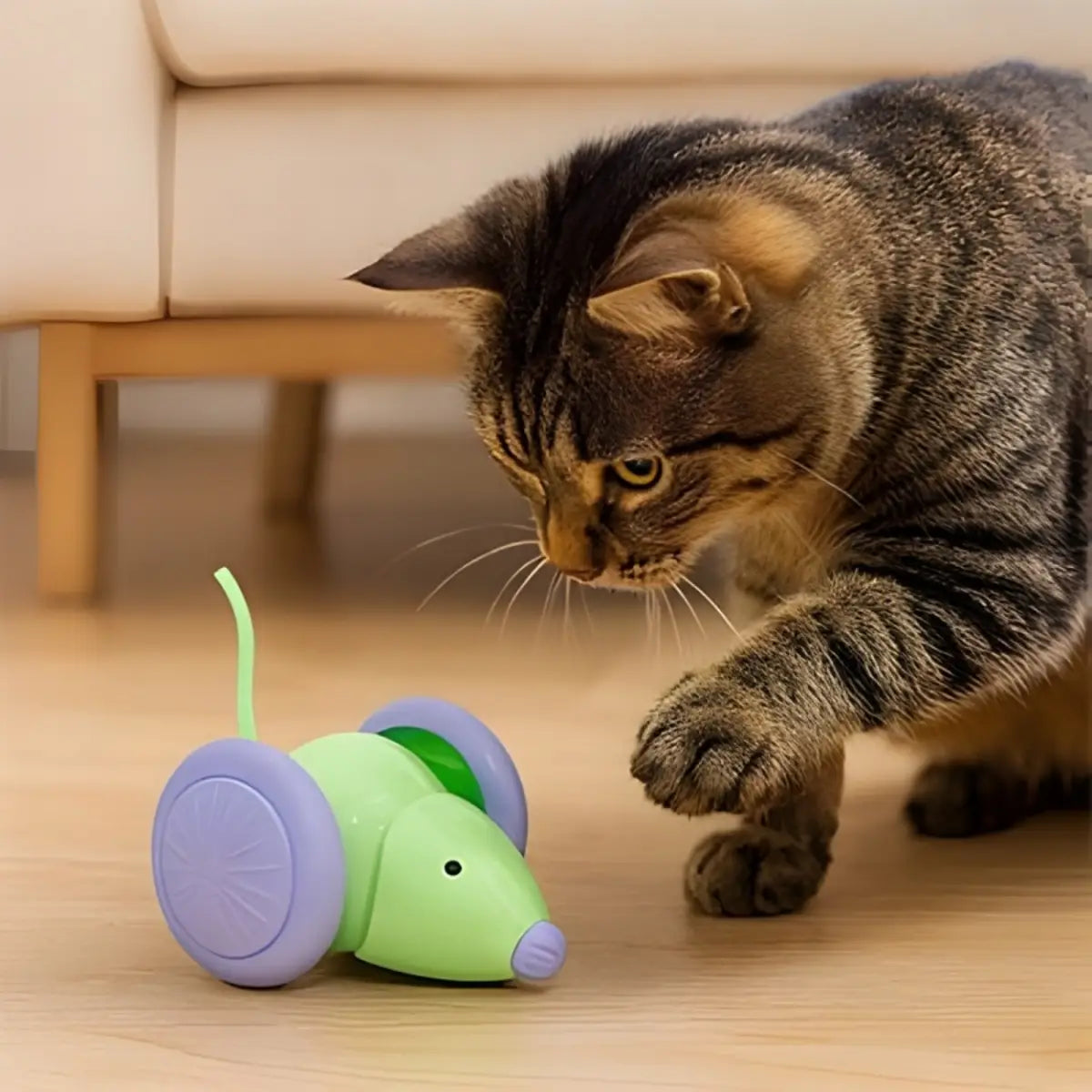 Jouet pour chat en forme de souris verte avec roues, idéal pour divertir votre animal. - gros plan