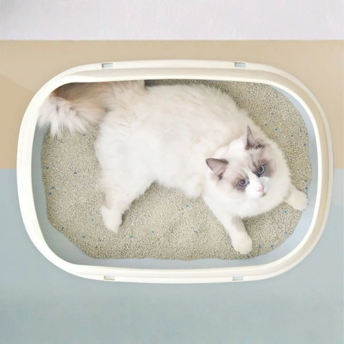 litiere chat pratique avec un design confortable pour le bien-être de votre animal.