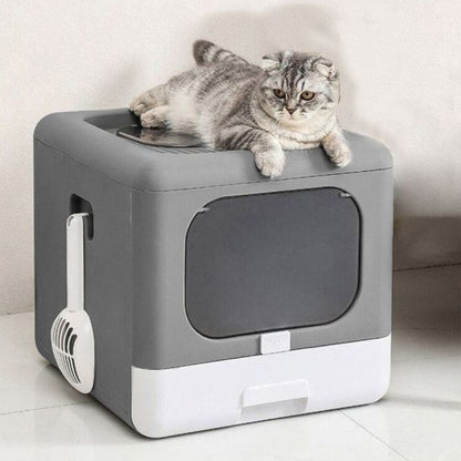 Chat détendu allongé sur une maison de toilette design et fermée