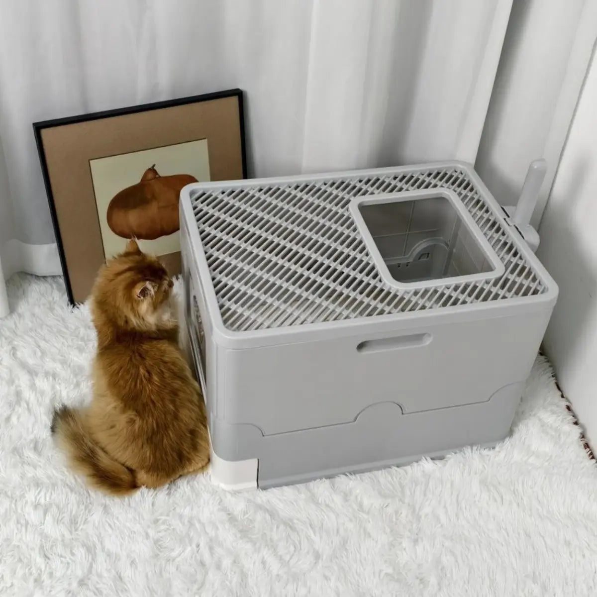 litiere fermée pour chat avec design moderne et pratique pour un nettoyage facile