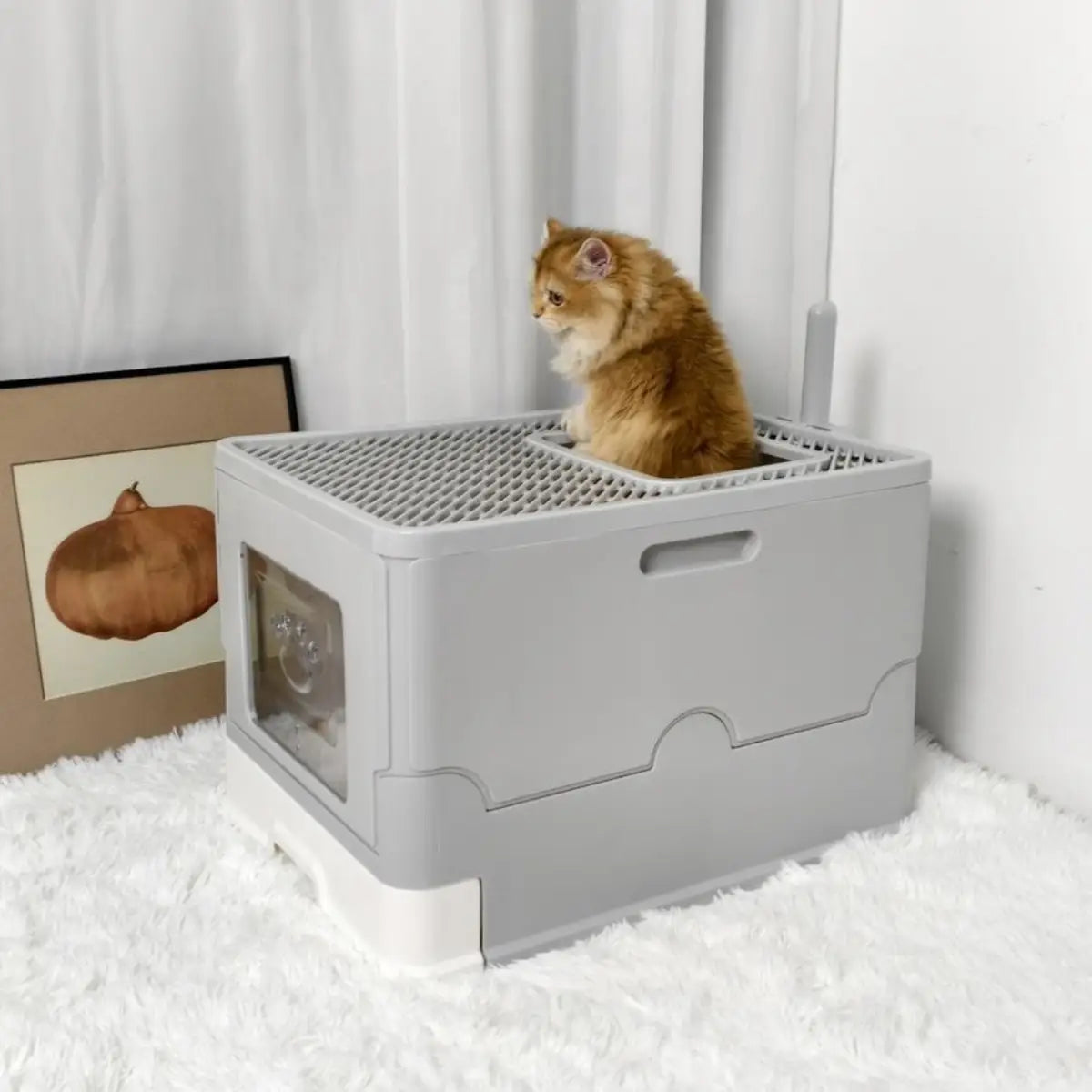 litiere fermée pour chat avec design pratique et confortable, idéale pour garder votre intérieur propre - fond neutre