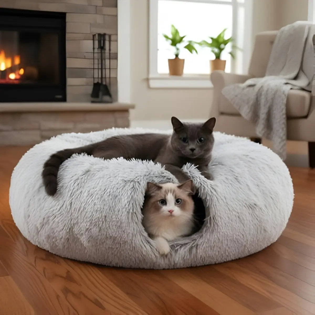 niche pour chat confortable en forme de tunnel, idéale pour le repos et la détente