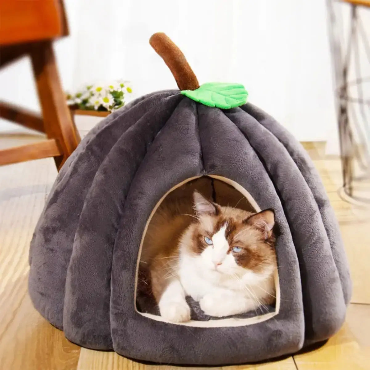 Niche pour chat en forme de citrouille, confortable et douce pour votre animal. - vue de dessus