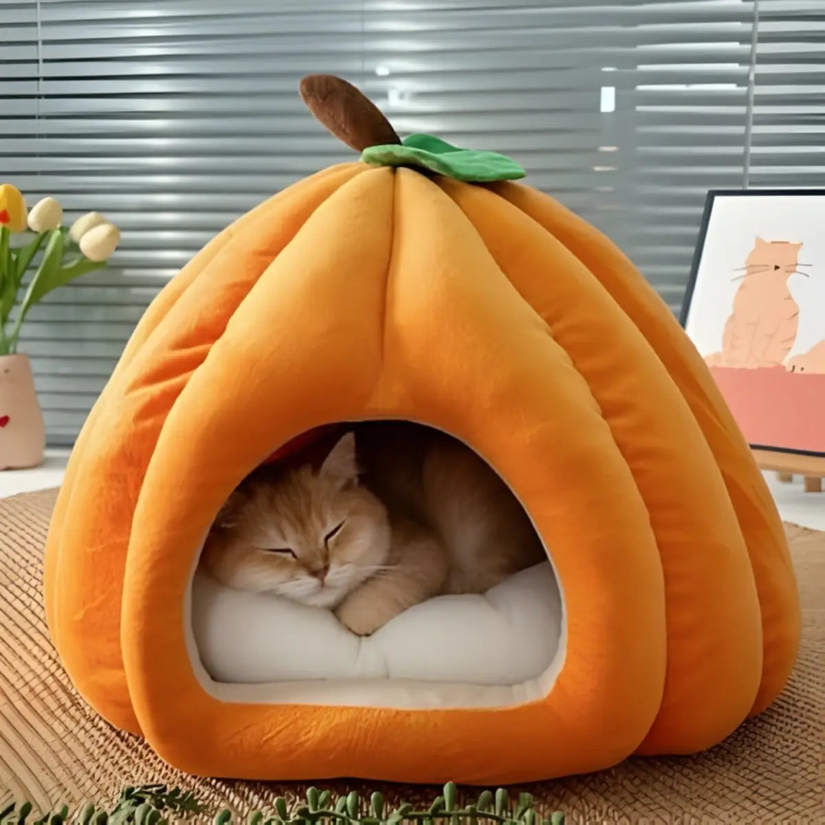 niche pour chat en forme de citrouille avec un chat endormi à l'intérieur - intérieur moderne