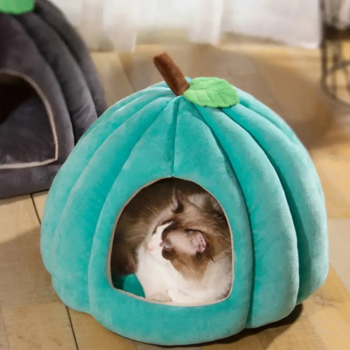 niche pour chat en forme de citrouille avec un chat à l'intérieur