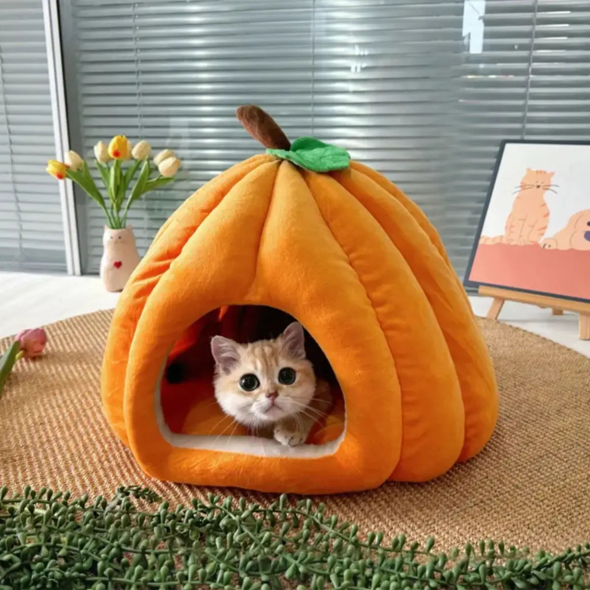 niche pour chat en forme de citrouille orange confortable et décorative