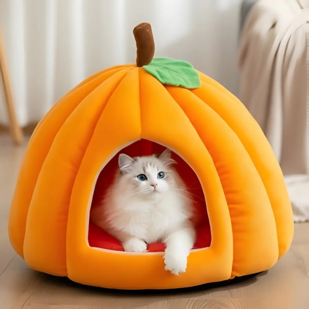 niche pour chat en forme de citrouille orange avec un chat blanc à l'intérieur - ambiance cosy