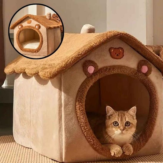 niche pour chat regardant camera