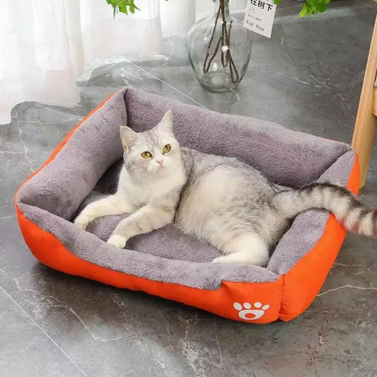 panier chat design confortable avec rebords surélevés