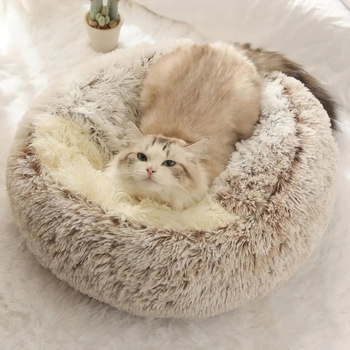 Panier pour chat moelleux et confortable en fourrure beige idéal pour le repos.