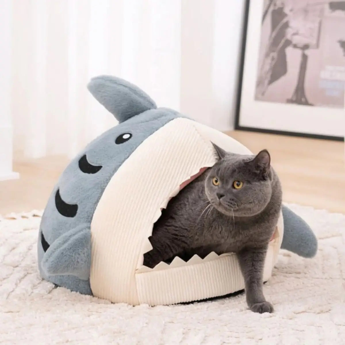panier pour chat en forme de requin, design original et confortable